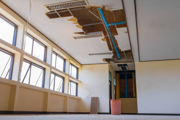 Trusted Morton, TX Water damage restoration Experts