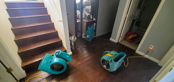 Best Flooded house restoration  in Morton, TX