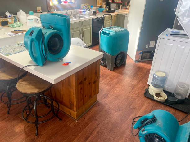Carpet water damage restoration in Morton, TX