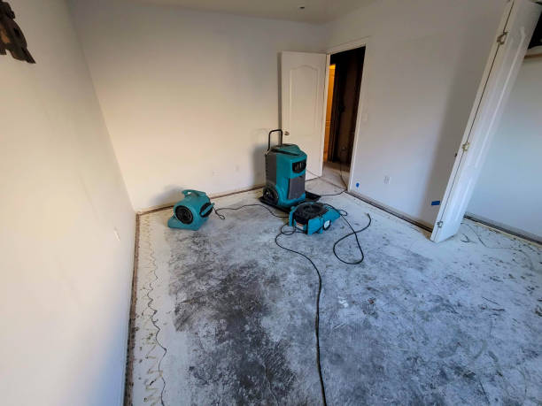 Best Water damage restoration near me  in Morton, TX