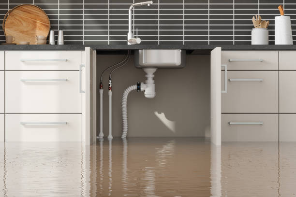 Best Flood restoration services  in Morton, TX